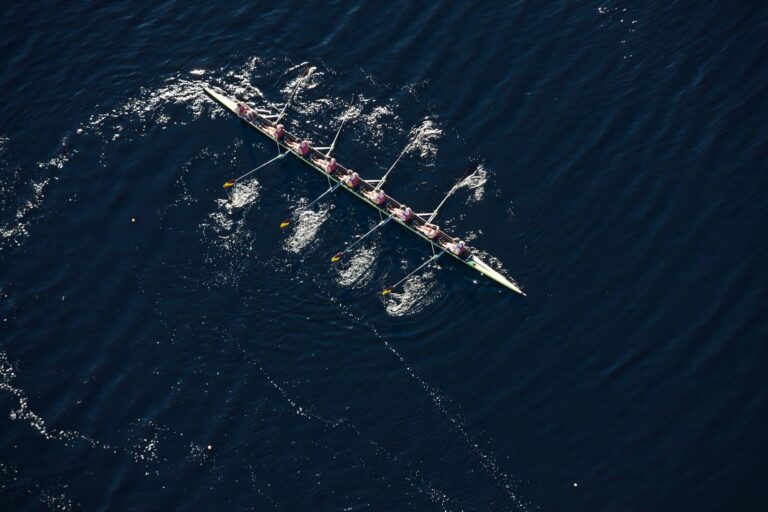 canon gipuzkoa proveedor it integral pymes informática ciberseguridad